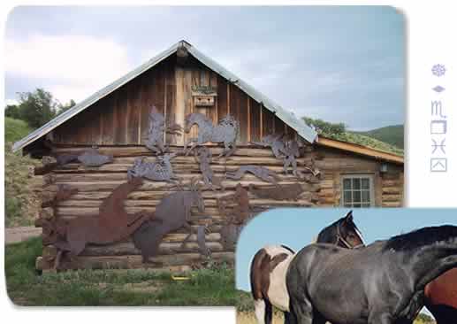 colorado ranch studio